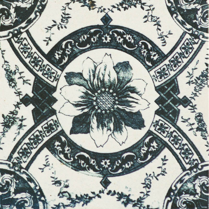 20x20 Nikea 20