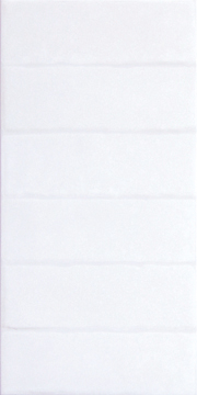 20x40 Glaze Bianco