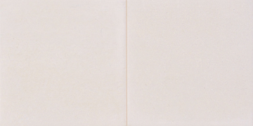 20x40 Lyon 2020 Arena