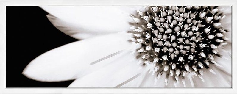 20x50 Decor Lumiere A 28.50
