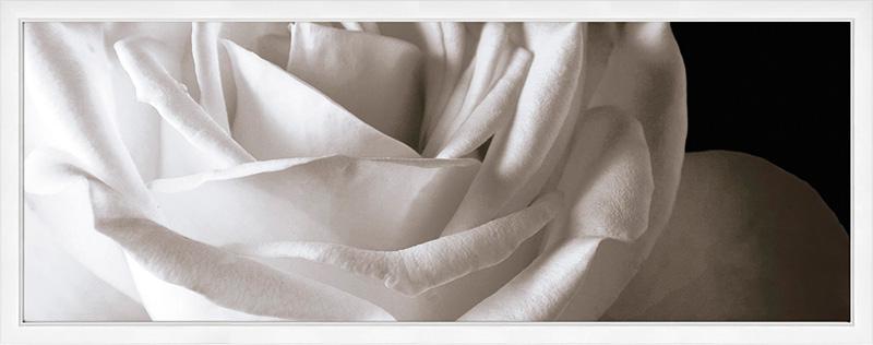 20x50 Decor Lumiere B