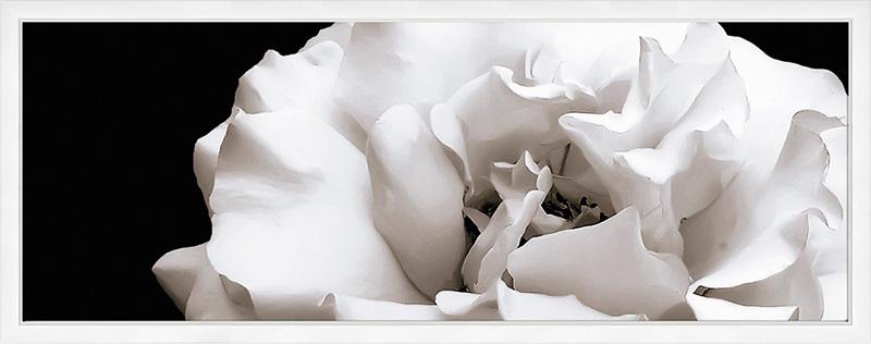 20x50 Decor Lumiere C