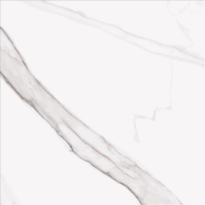 Cavan Calacatta 45x45