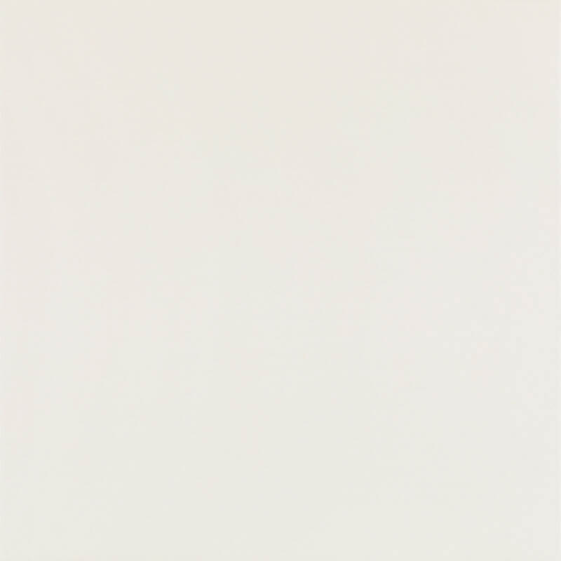 Elegant Bianco Gres Matt 59.8x59.8