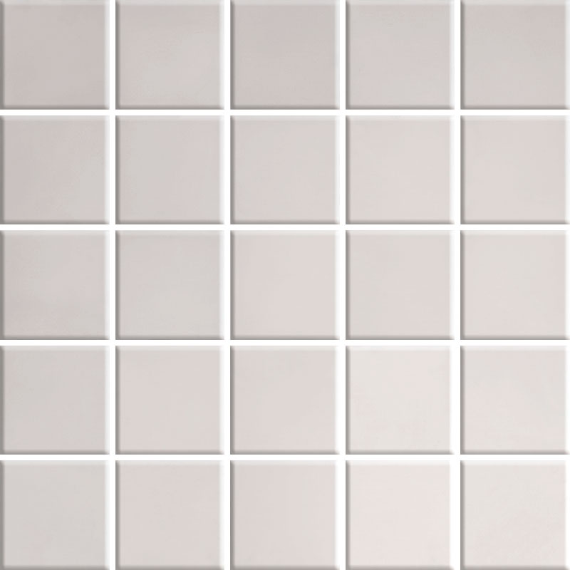 Mosaic Inox Glossy 25x25