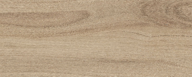 Narni Beige 20x50