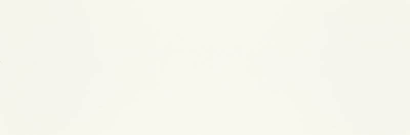 Pure City Bianco 29.8x89.8