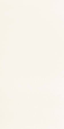 29.8x59.8 Satini white