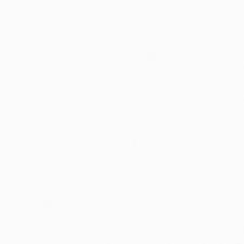 313x31 Moon Blanco