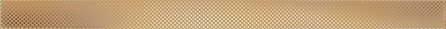 Selvo Gold 4x60.8