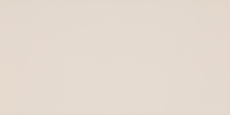 Synergy Beige 30x60