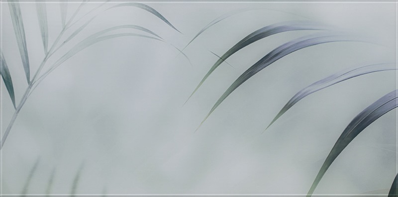 Taiga Glass Inserto B 29.5x59.5