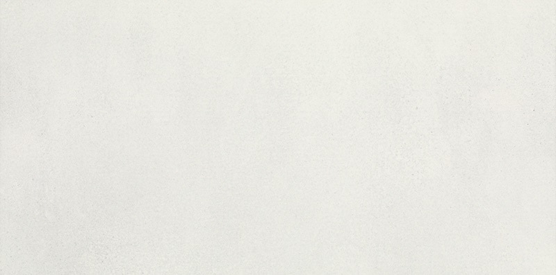 Taiga Silver 29.5x59.5
