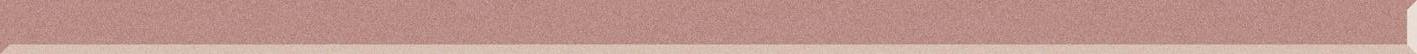 Universal Glass Strip Praline 2,3x60