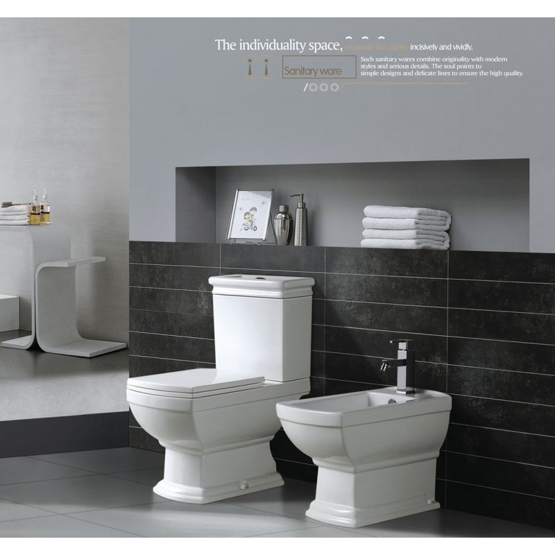 Classical toilet and basin 6541 and 6047-800x800