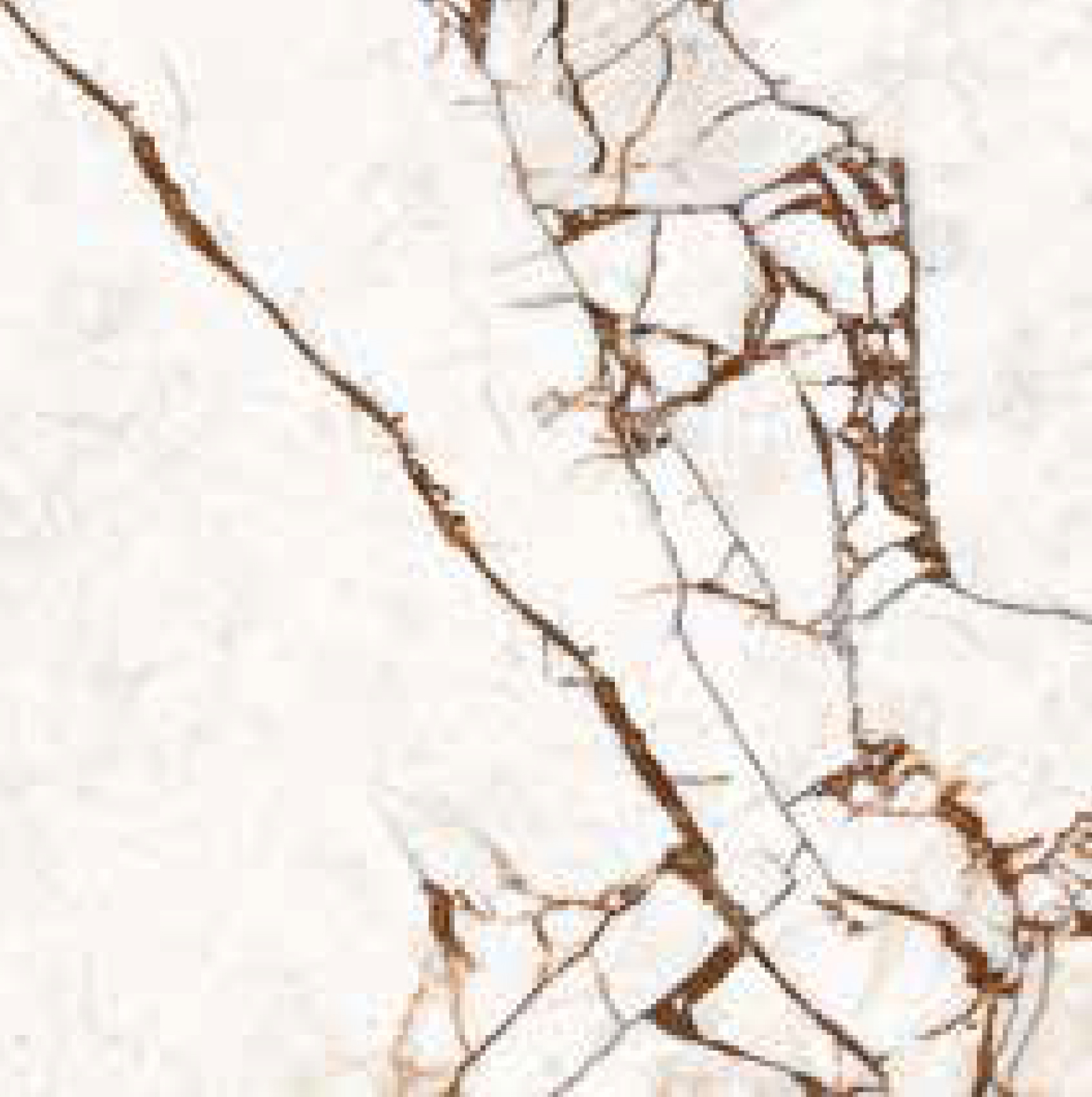 Vira Bone 45×45