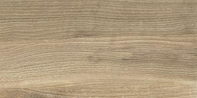 Brentwood Honey 30×60