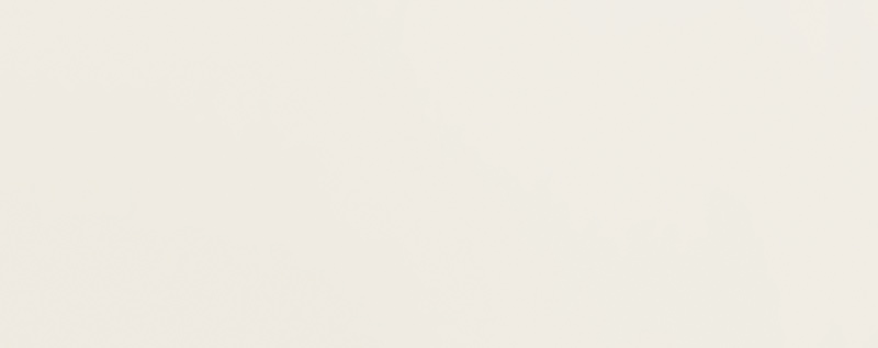 Essent White 29.8×74.8