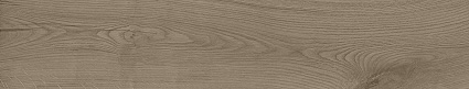 Oland Nut 23×120