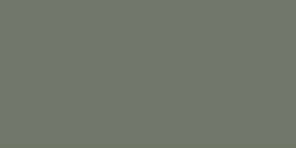 Olive 30×60 CKR19