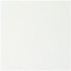Fresh White 31.6×31.6