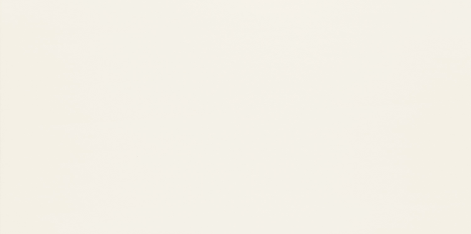Duo White 29.8×59.8