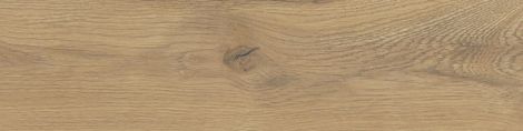 Taiga Honey 15.5×62