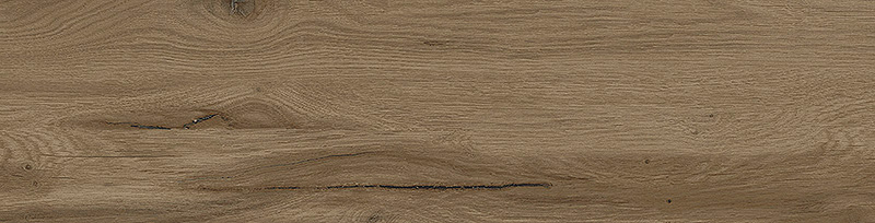 Visual Moro 15×61